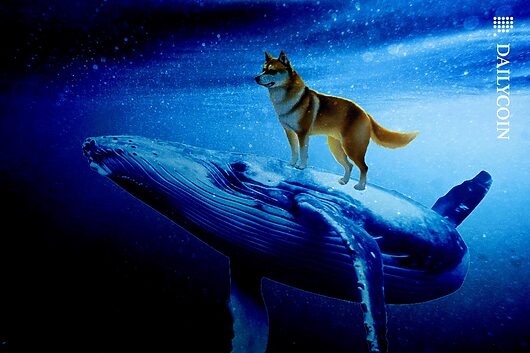 SHIB, BONE Rise Up, Backed by Soaring Ethereum Whale Activity