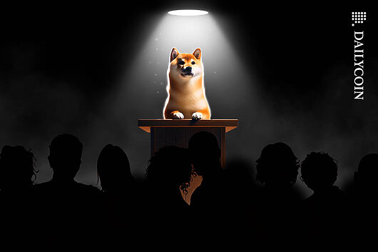 Shiba Inu Talks Vision for 2024, Putting Focus on SHIB Names