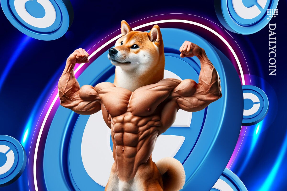 Shib showing off on the coinbase playform.