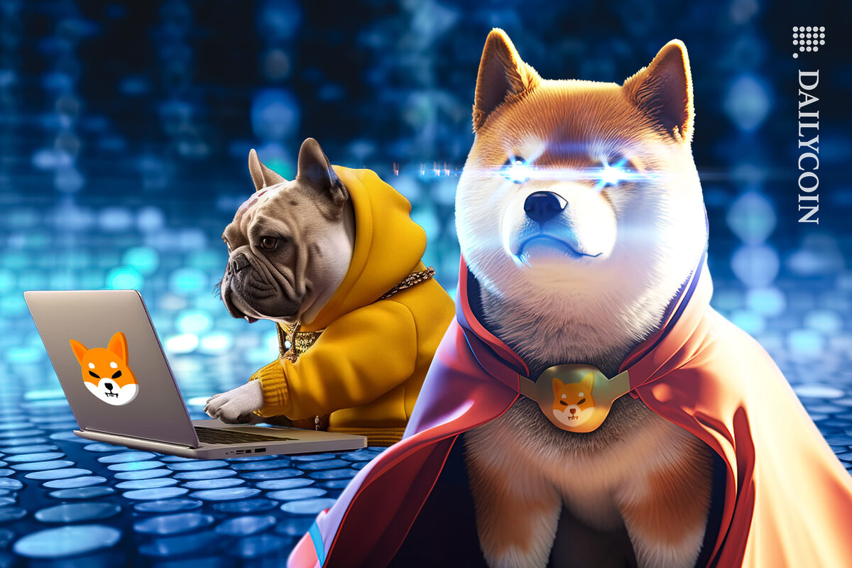 Shiba inu and his Dev are working on some things.