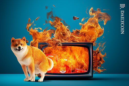 Shiba Inu Burn Up 210% As SHIB Price Sees Win-Or-Bust Moment