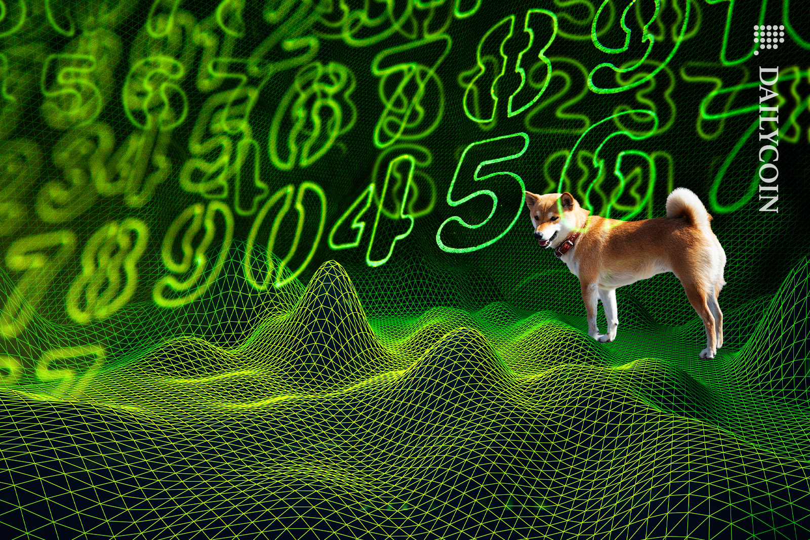 Shiba Inu in the green with a bunch of numbers.