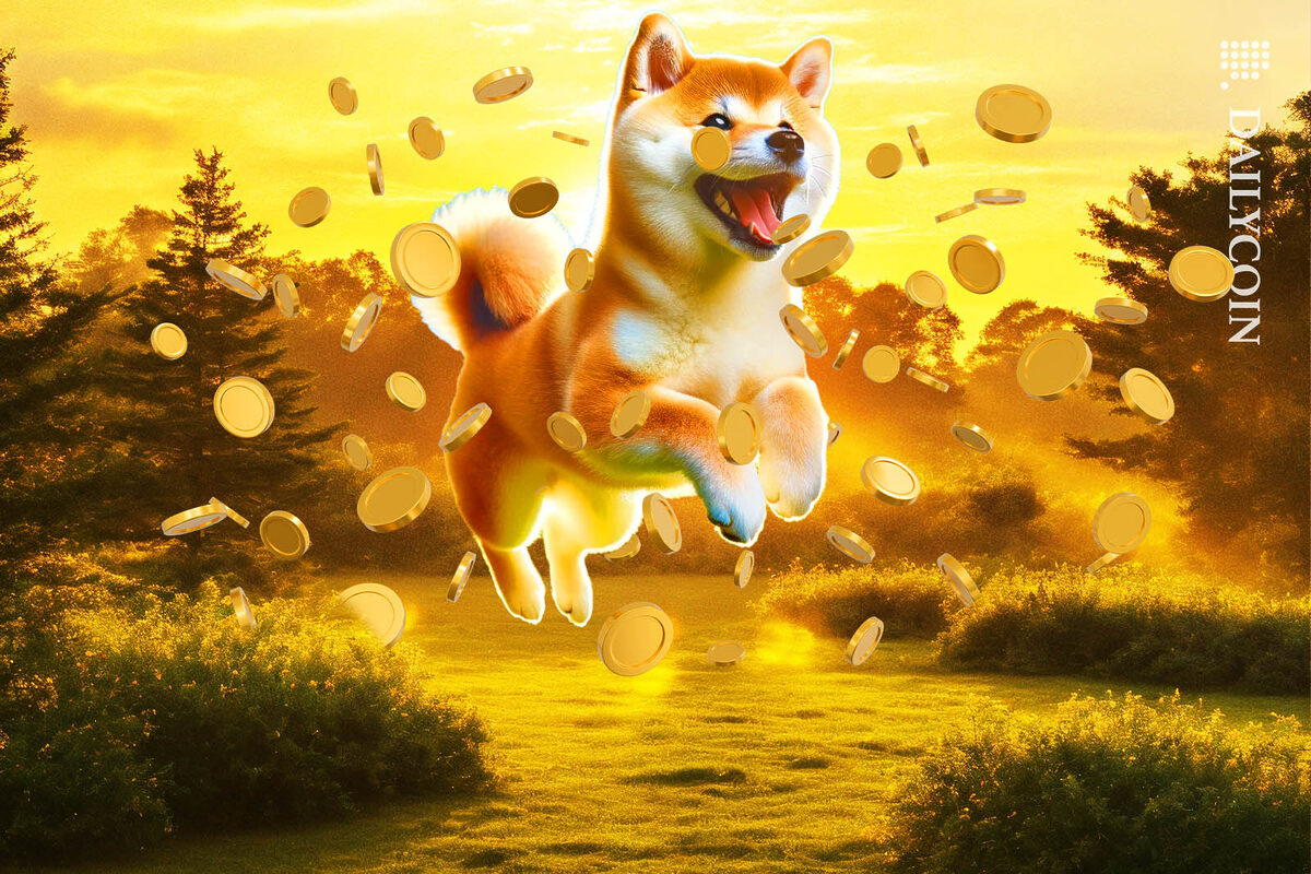 Shiba Inu jumps with joy on a field in a beautiful sunrise.