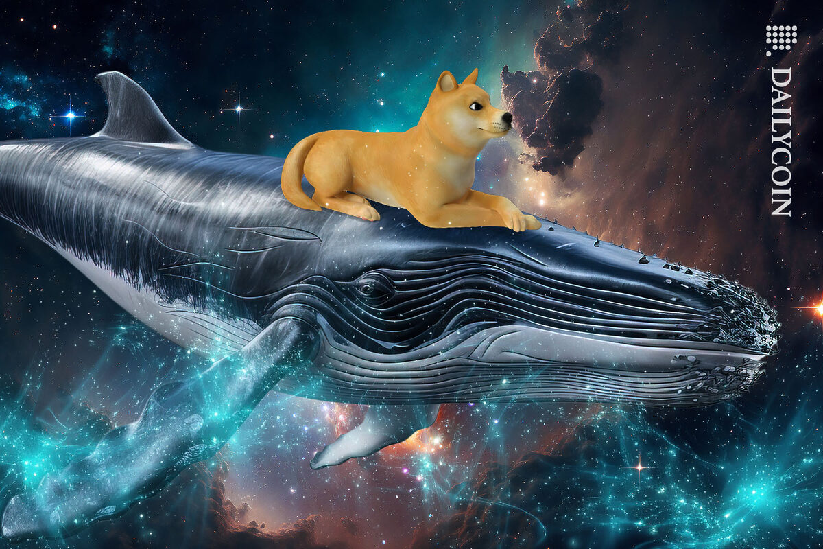 Doge dog riding a whale in outter space.