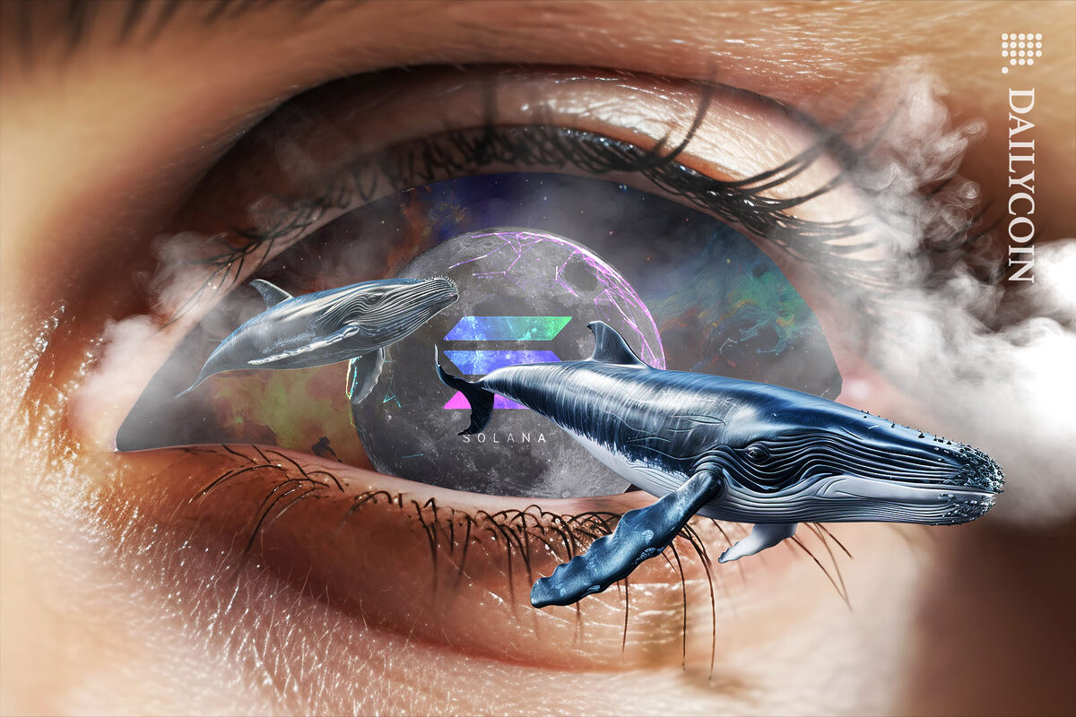 Whales flying out of a woman's eye.