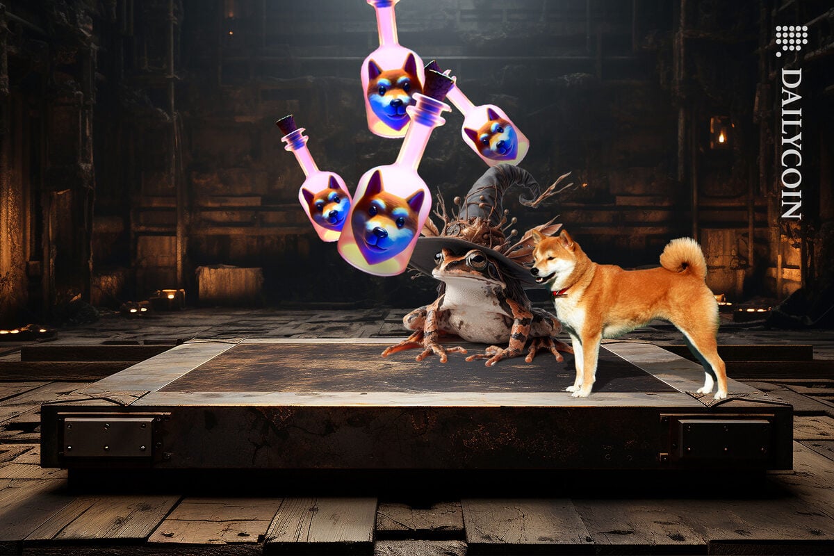 Shiba inu paying a visit to the wizard frog to get some potion bottles.