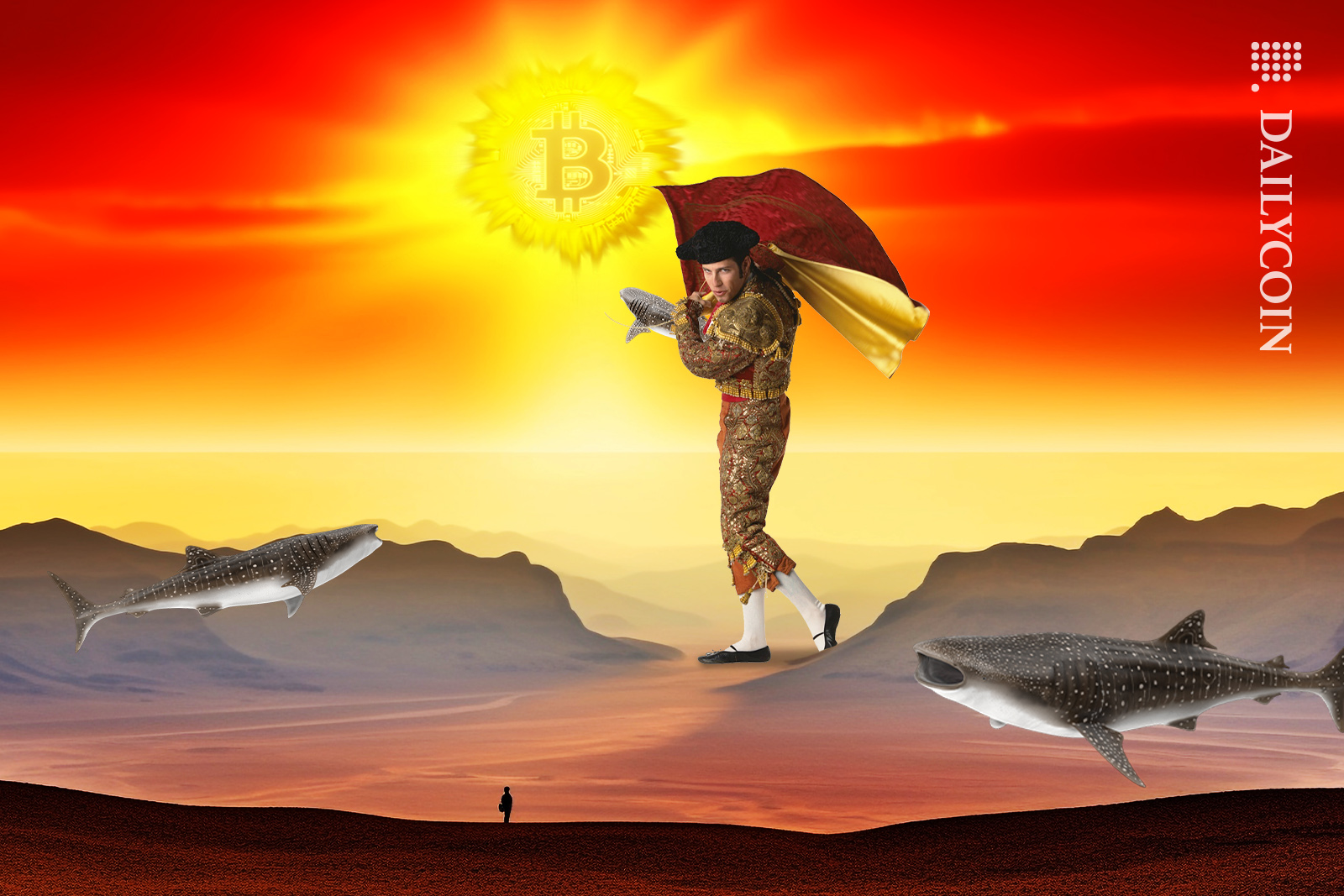 Whale sharks approaching the bitcoin sun as the bullfighter is tempting them with the red cloth.