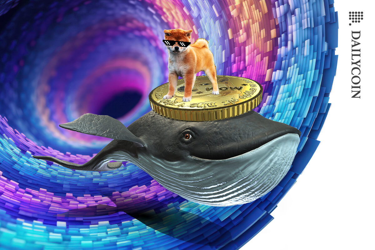 Doge taking a ride from a whale out of a spiral.