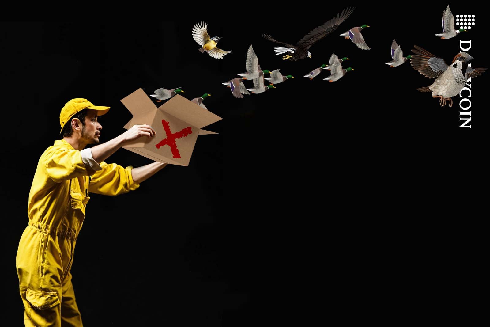Man in yellow jumpsuit releasing birds from a cardboard box.