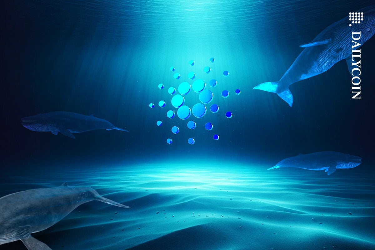 Whales swimming away from a Cardano logo in the open ocean.