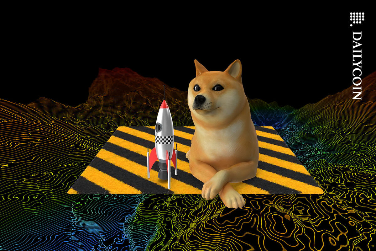 Dogecoin dog laying next a toy rocked on a carpet.