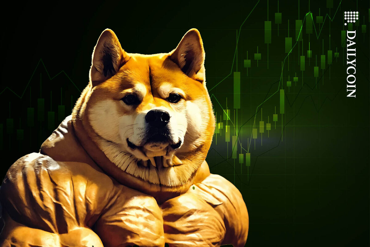 Dogecoin dog with huge muscles looking confident.