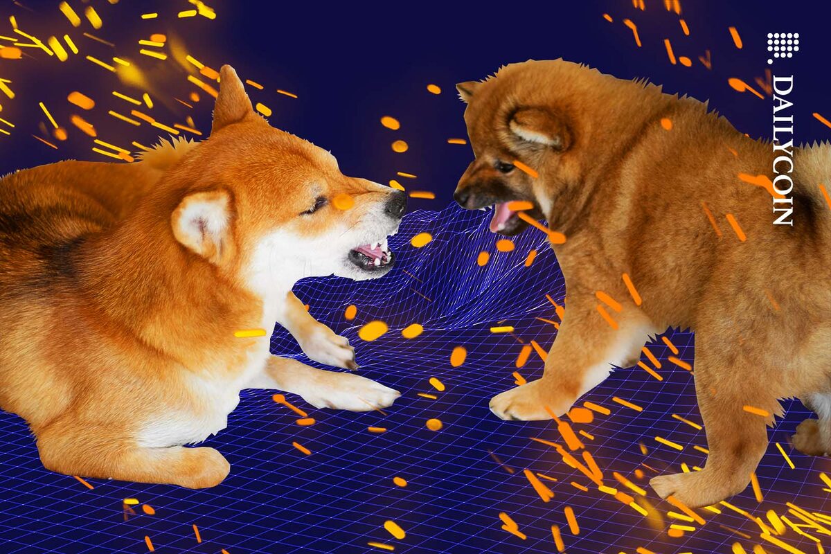 Two dogs fighting with sparks flying around.
