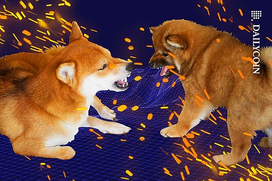 Here’s What Shiba Inu Is Scheming to Reign Over Dogecoin