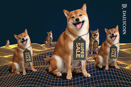 Shiba Inu Name Day to Start with 69% Special Access Discount