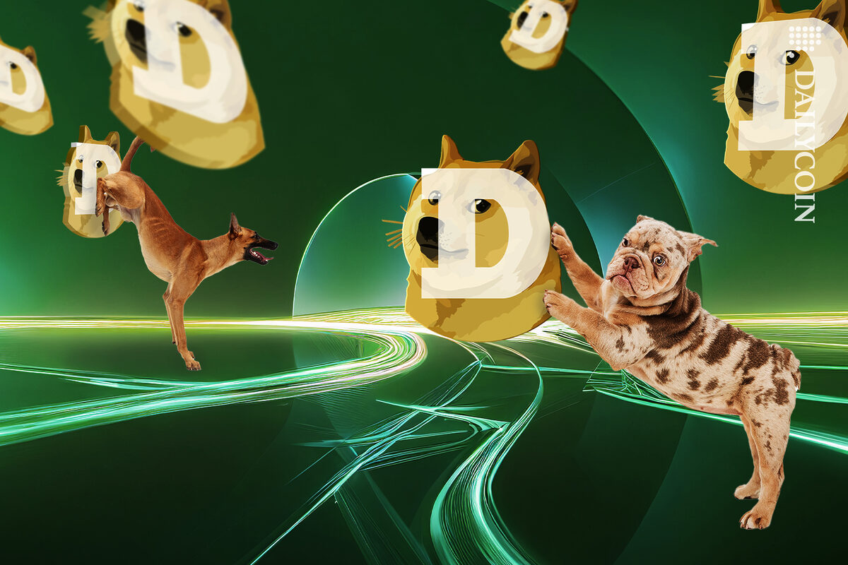 Dogs playing around with hovering Doge's in the green digital space.