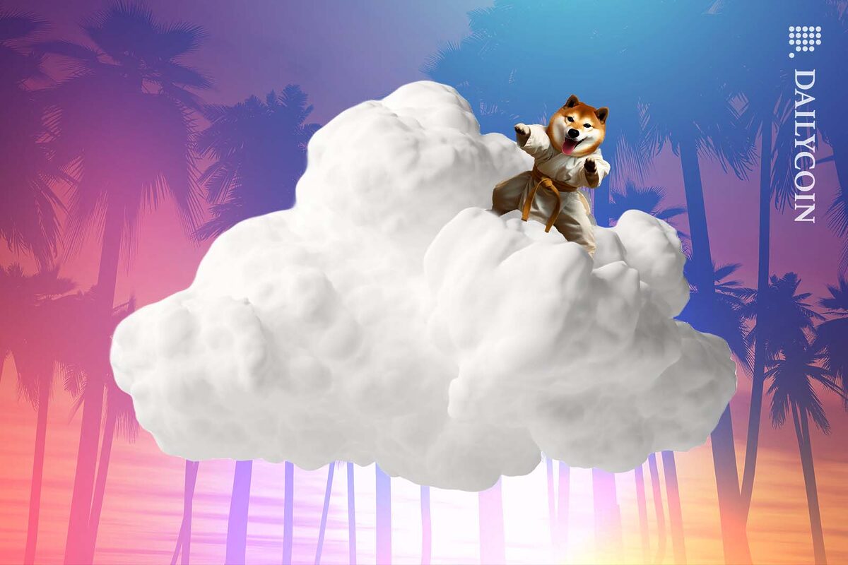 Tiny Shiba inu training on a cloud to get his black belt in karate.
