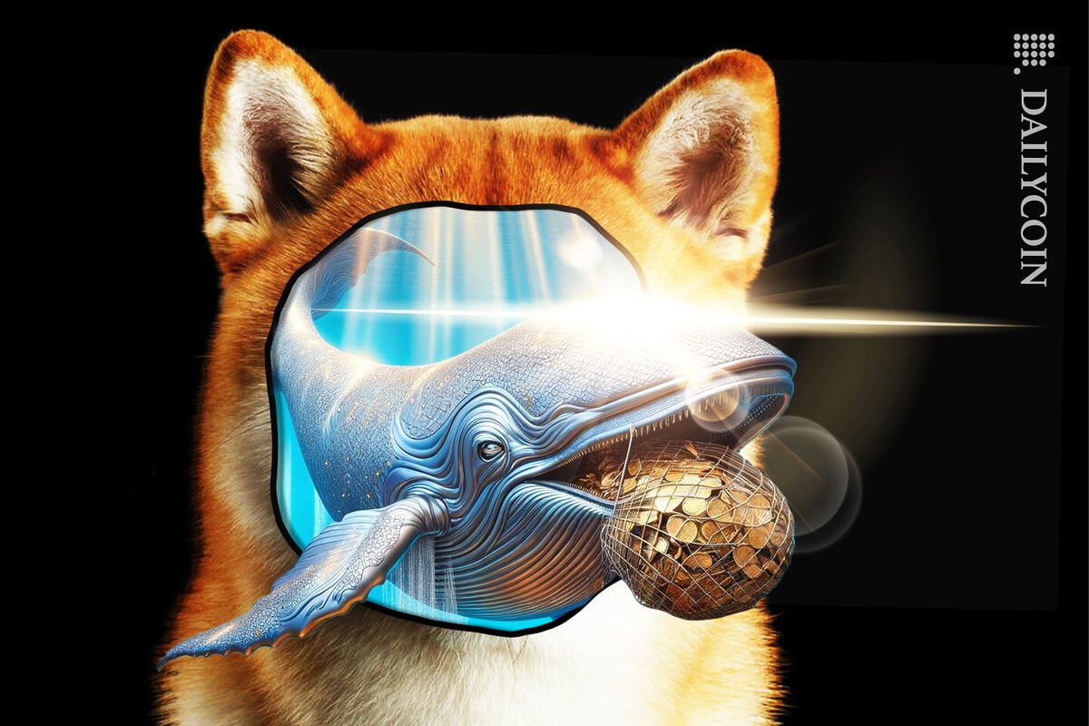 Huge whale coming out of Shiba Inu with a net of coins.