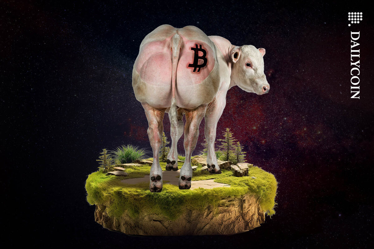 Cow standing on a floating island with a Bitcoin logo on its back end.
