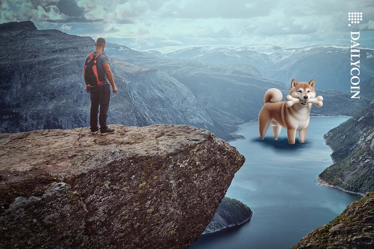 Shiba Inu standing in a lake in the bottom of a valley.