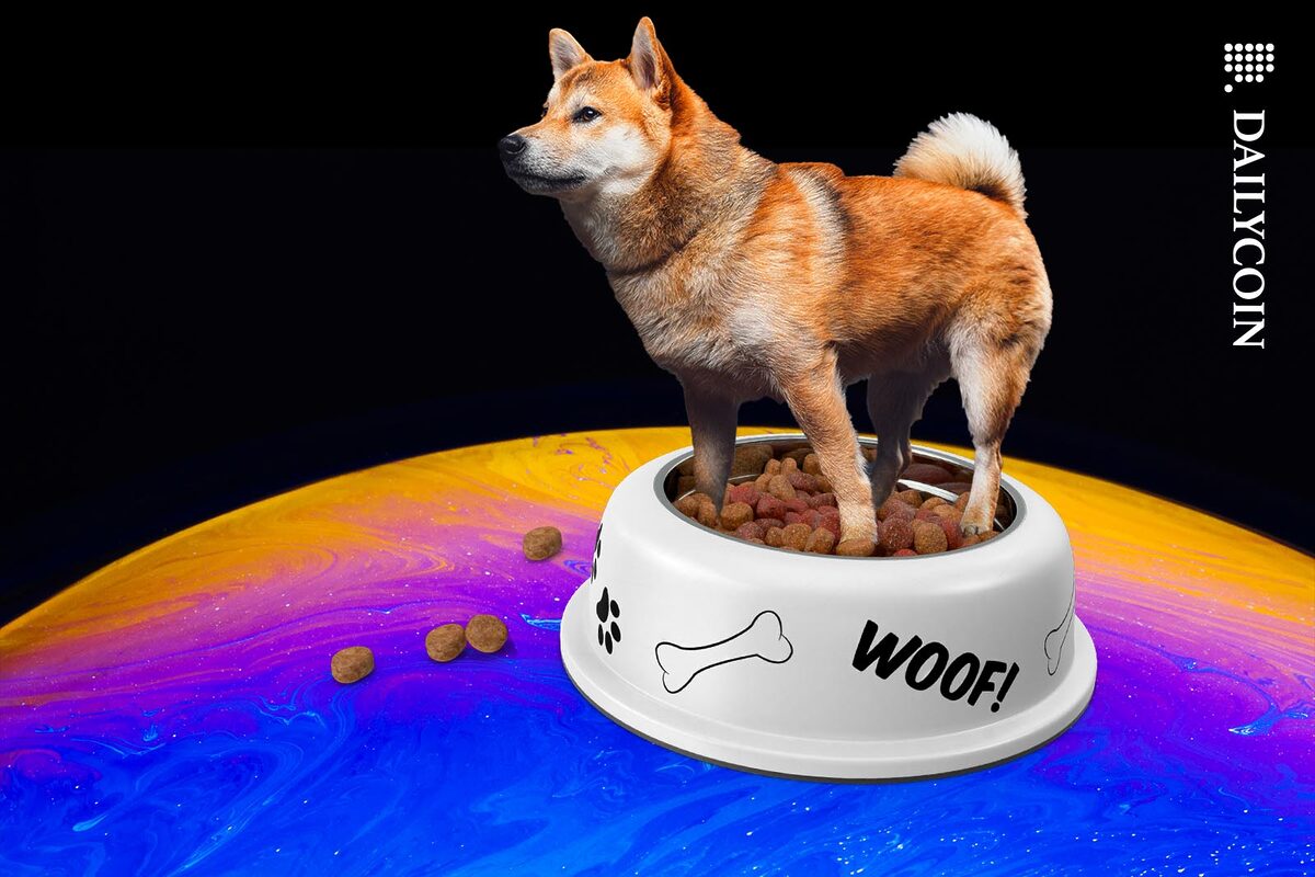 Shiba Inu standing in a bowl of dog treats on a colourful liquid planet.