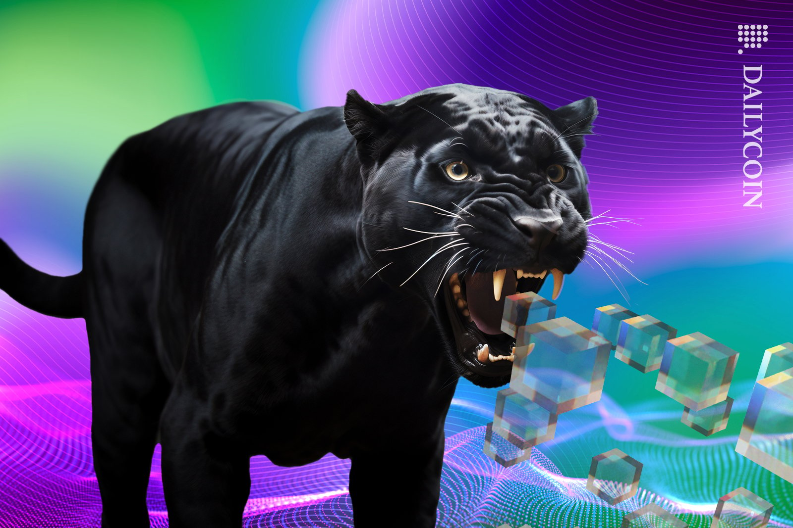 Puma screaming in blockchain.