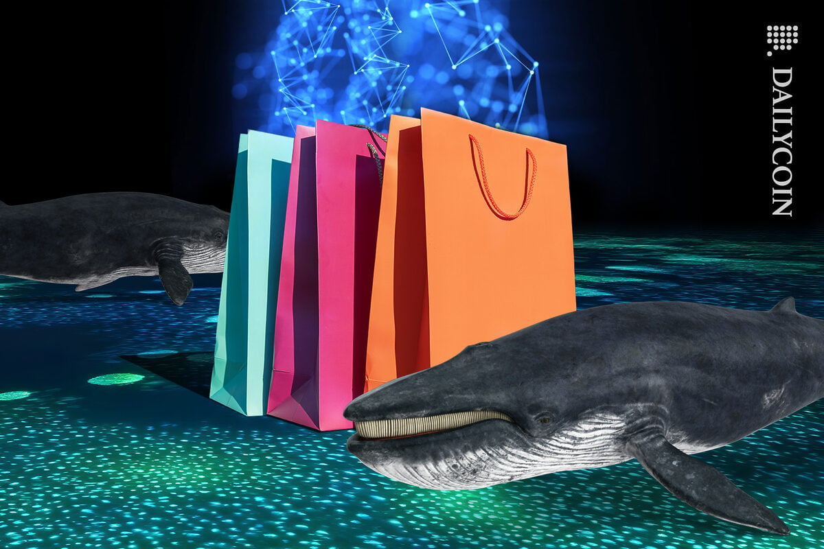 Whales surrounding crypto shopping bags.