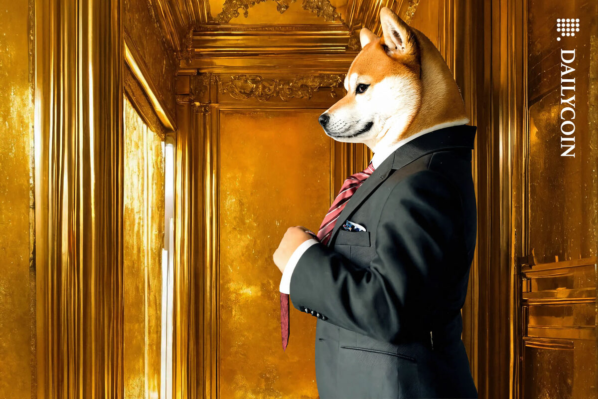 Dogecoin dog wearing a suit, getting ready for a big event in a golden room.