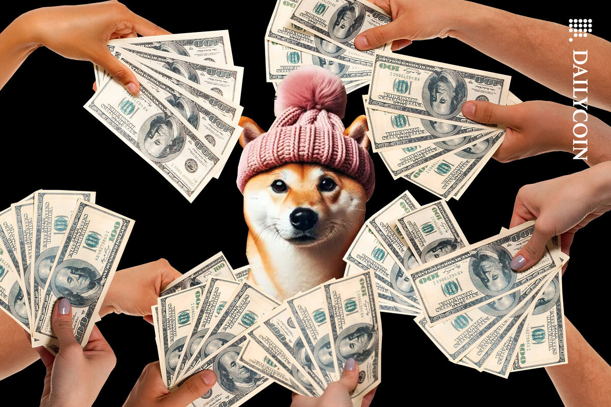 Dogwifhat dog being overwelmed with lots of money.