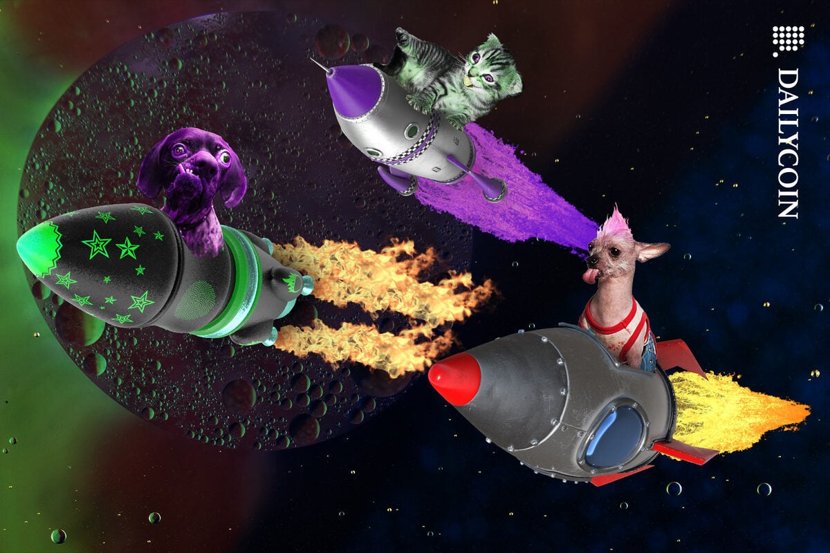A group of retarded pets soaring through space in toy rockets.