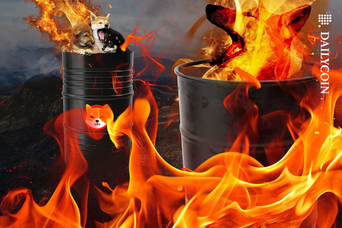 Shiba Inus being burned in barrels in a torched, volcanic landscape.