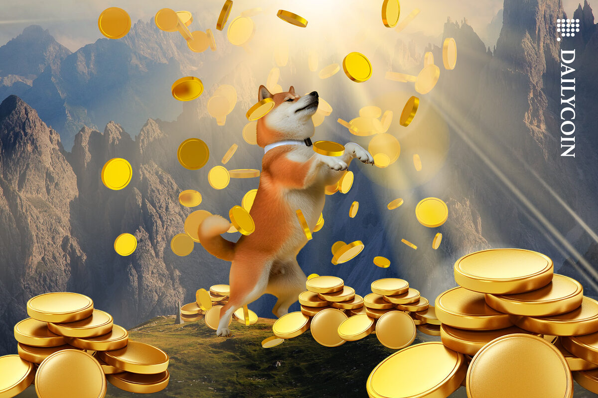 Shiba Inu dancing in a shower of golden coins on a mountain top.