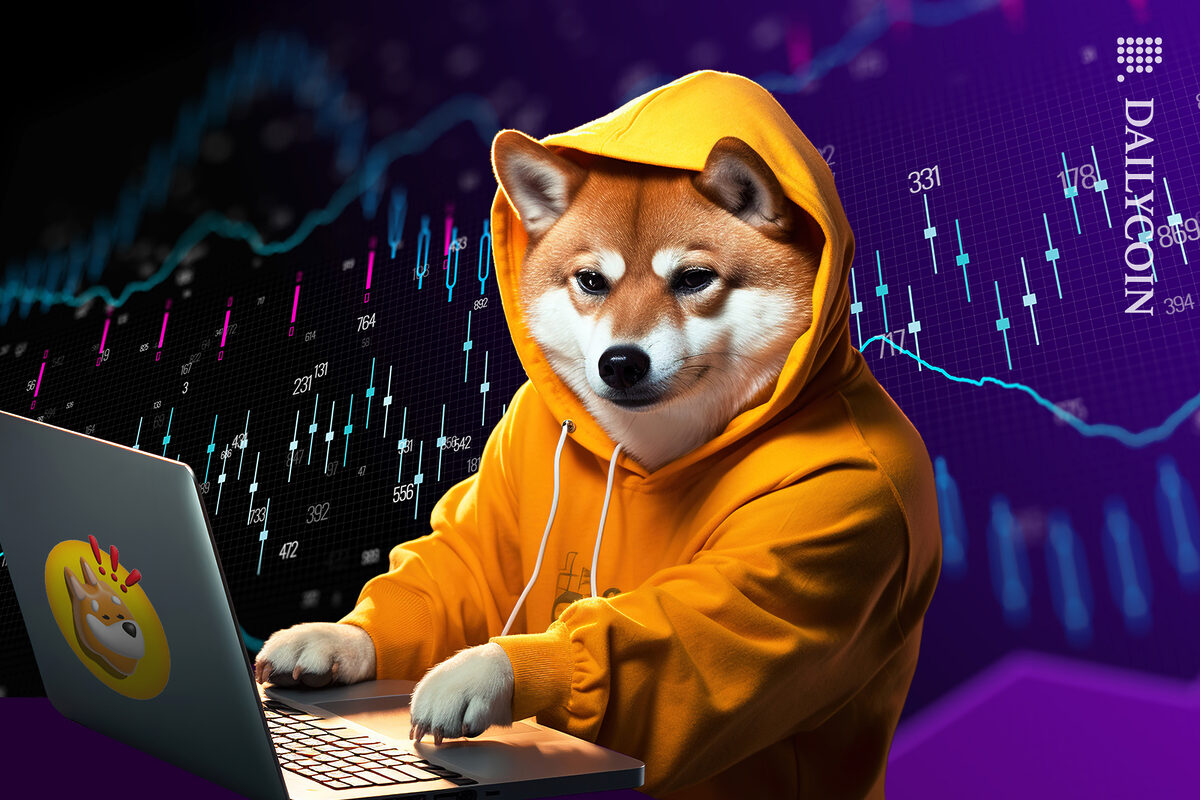 BONK dog working on his numbers.