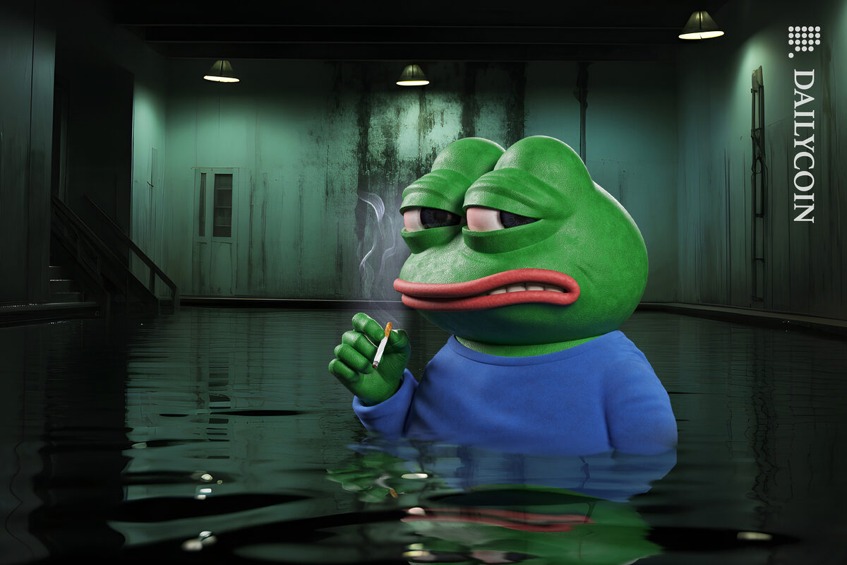 Pepe not happy sitting in his dingy room pilled with water.