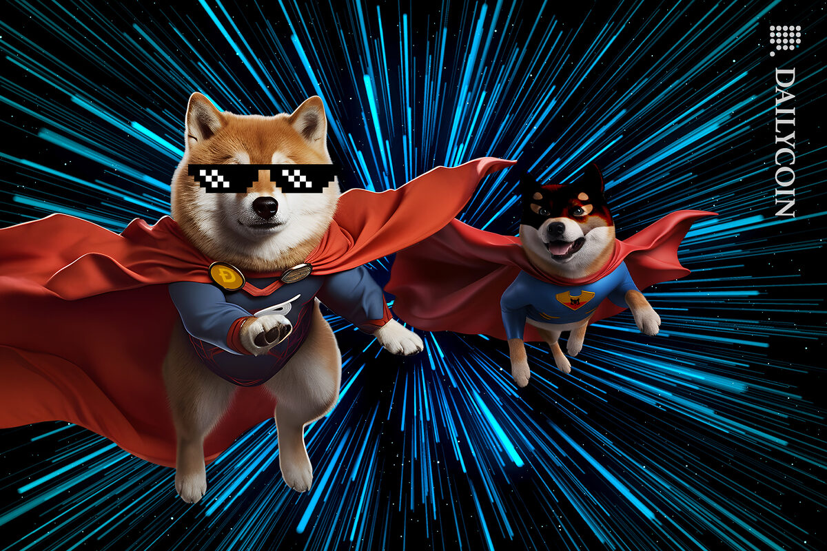 Superhero Shib and Doge flying through digital sky.