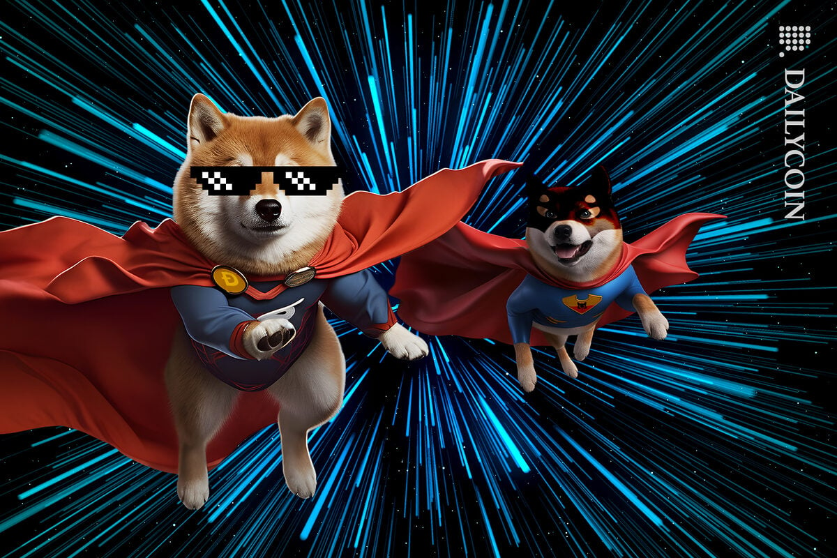 Superhero Shib and Doge flying through digital sky.