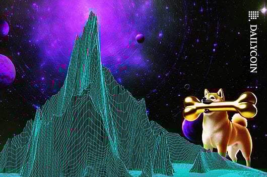 Shiba inu with a golden bone in its mouth looking up towards the peak of a wireframe mountain.