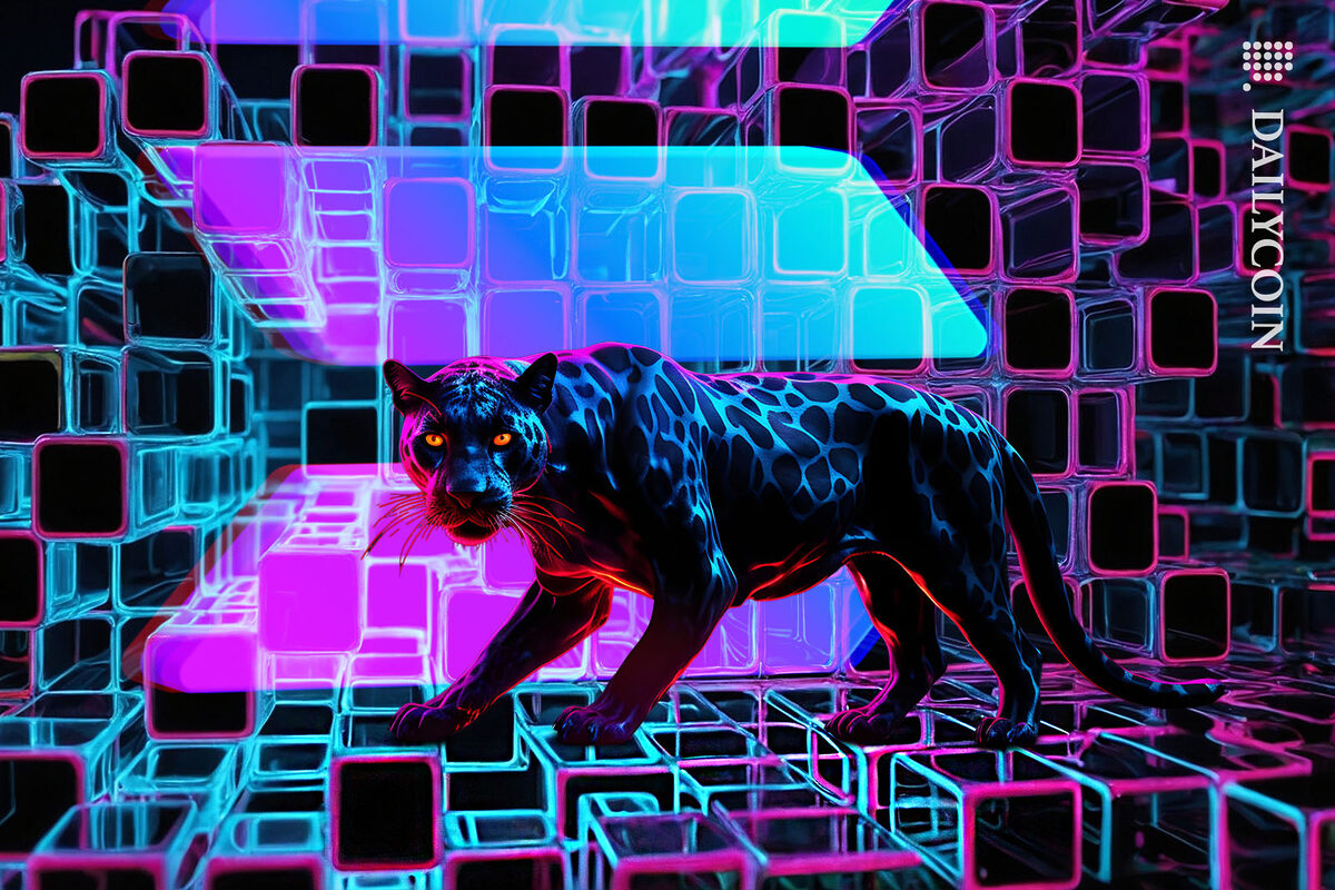 Panther walking quietly on Solana's blockchain space.
