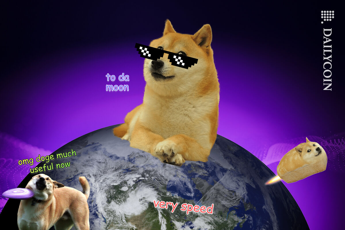 Doge in his new world of chain.