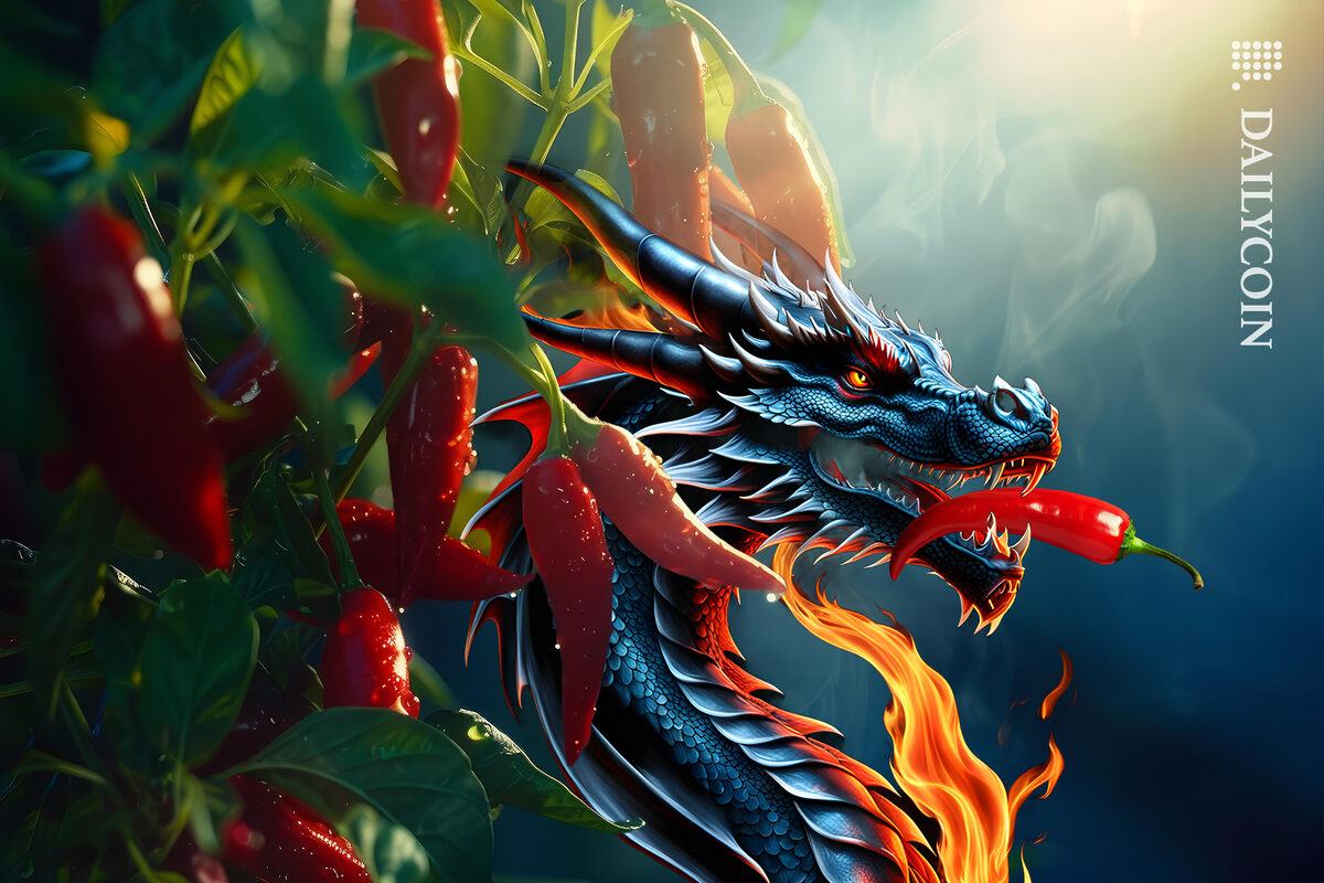 Dragon with chillies.