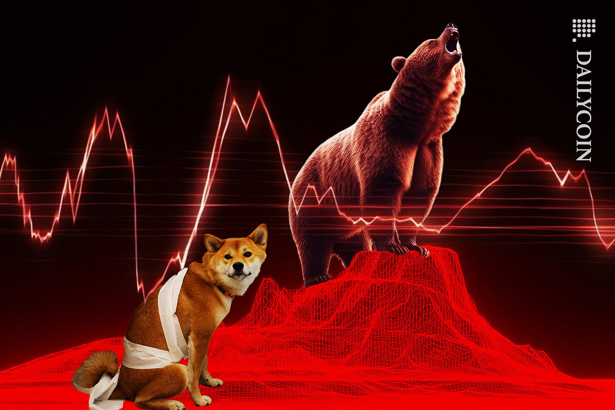 Shiba inu wrapped in toilet paper and a bear is screaming on a red chart.