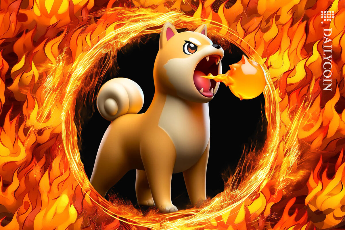 Shiba Inu Breatihng fire and spreading it everywhere.