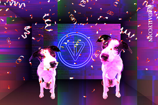 TON Breaks Records Thanks to DOGS Memecoin