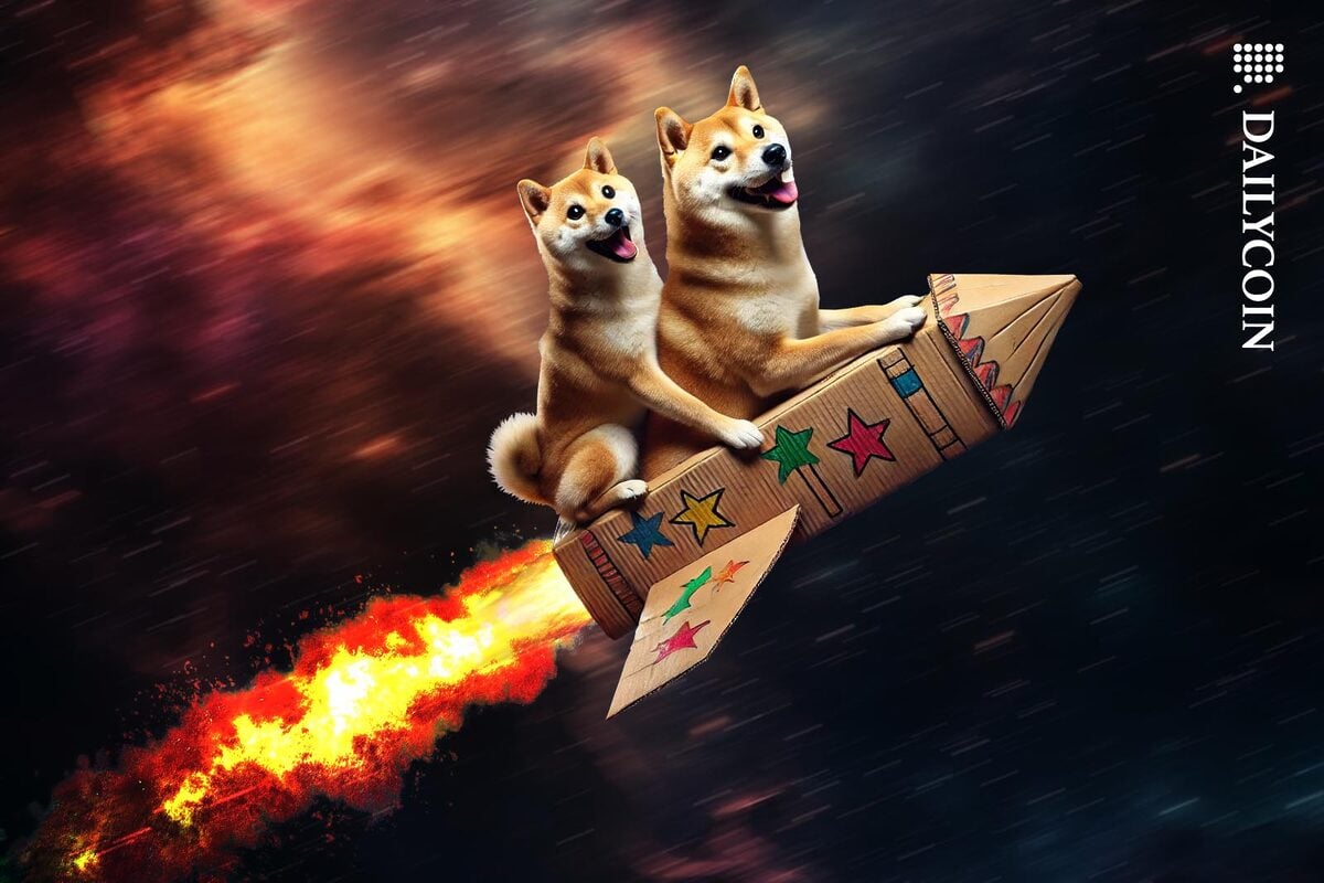 Two dogs flying through space in a cardboard rocket.
