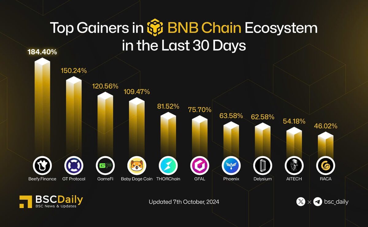 Chart of top gainers in BNB Chain ecosystem.