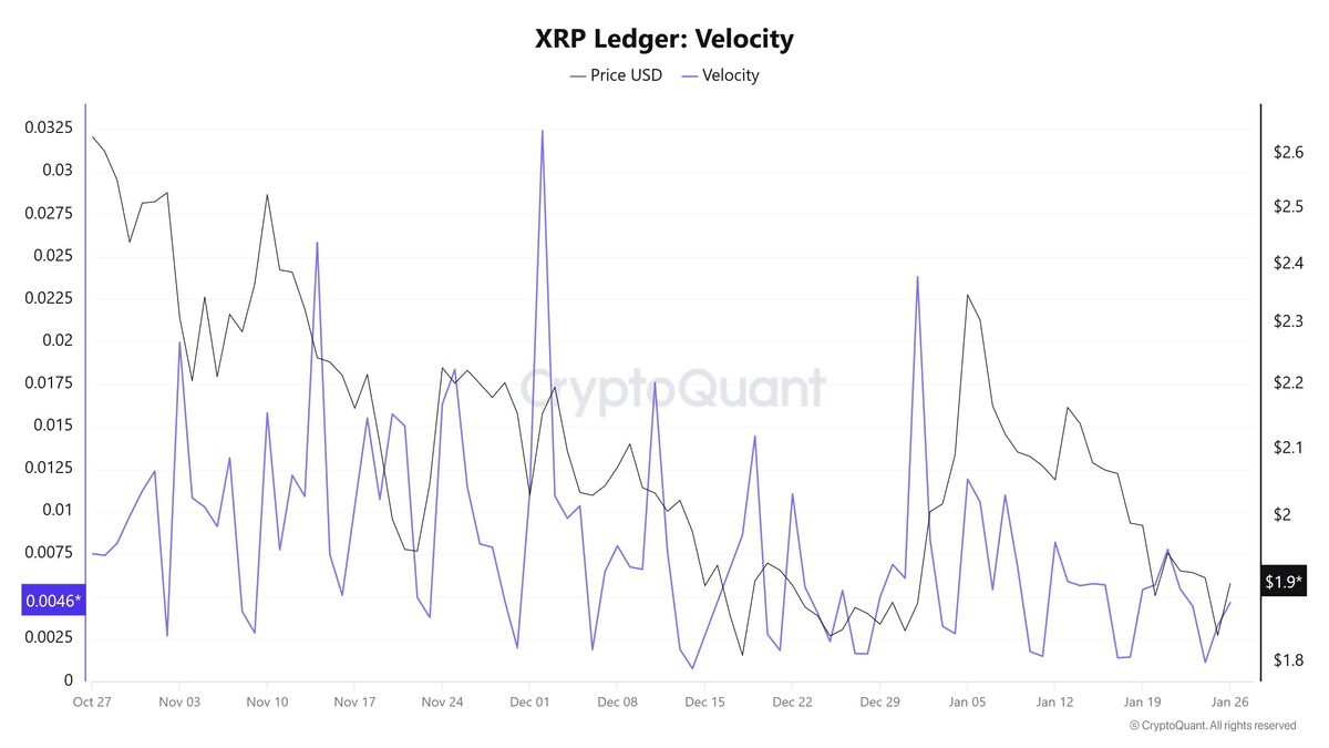 BlackRock, RLUSD and XRP Ledger: Inside the Alleged $16 Trillion  Tokenization Strategy by 2030